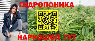apvp Нальчик
