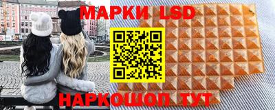 apvp Нальчик