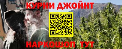 apvp Нальчик