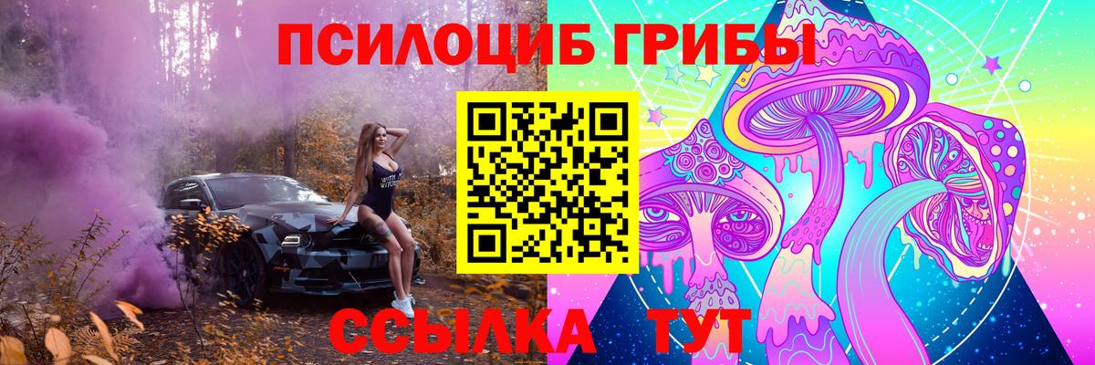 Псилоцибиновые грибы GOLDEN TEACHER Тихвин