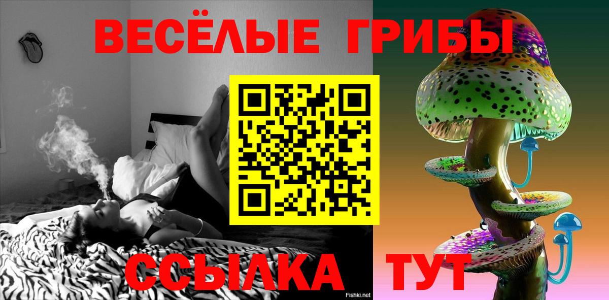 Тихвин  Галлюциногенные грибы мухоморы  Вход с VPN 